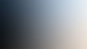 Budleigh Salterton Art Club — Gallery